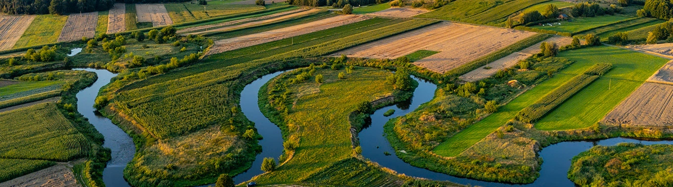 środowisko ESG 1