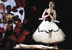 opera 2